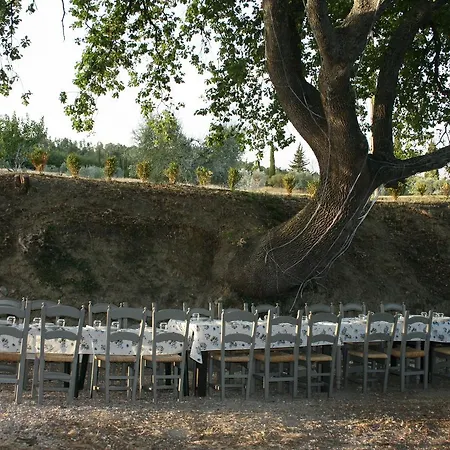 Escaia Βολτέρρα