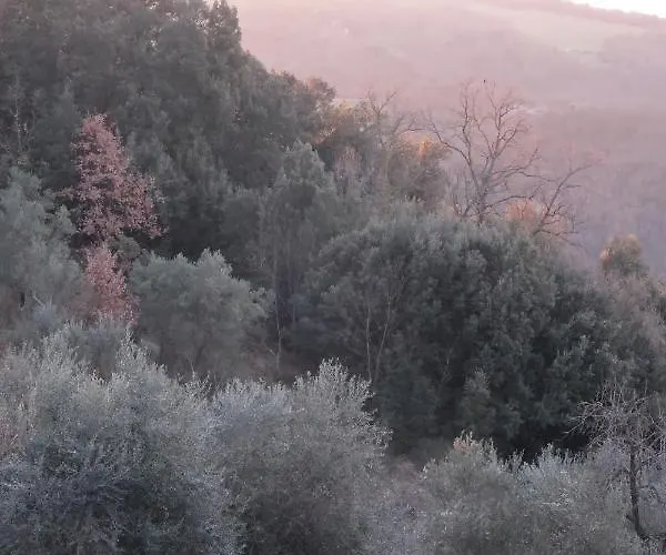 Escaia Alojamento de Turismo Rural *