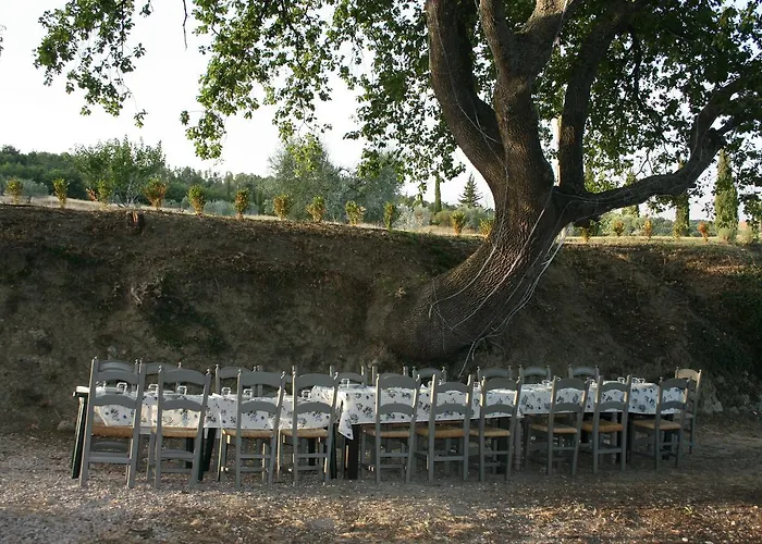 Escaia Volterra